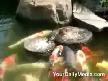 Bu Devirde �nsan Yapm�yor �rde�in Yapt���n�..