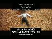 Y�REKLER� DA�LAYAN F�L�ST�N